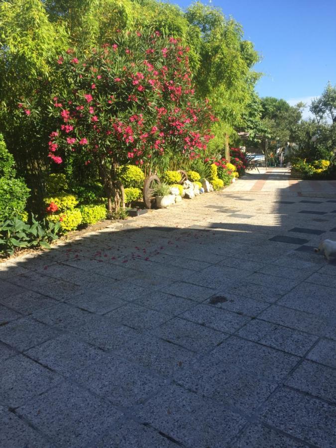 Appartamento Quinta Forum *